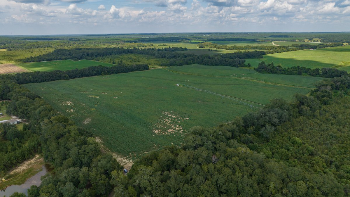 Image for 202+/- Total Acres - Prime Irrigated Row Crop Farmland
