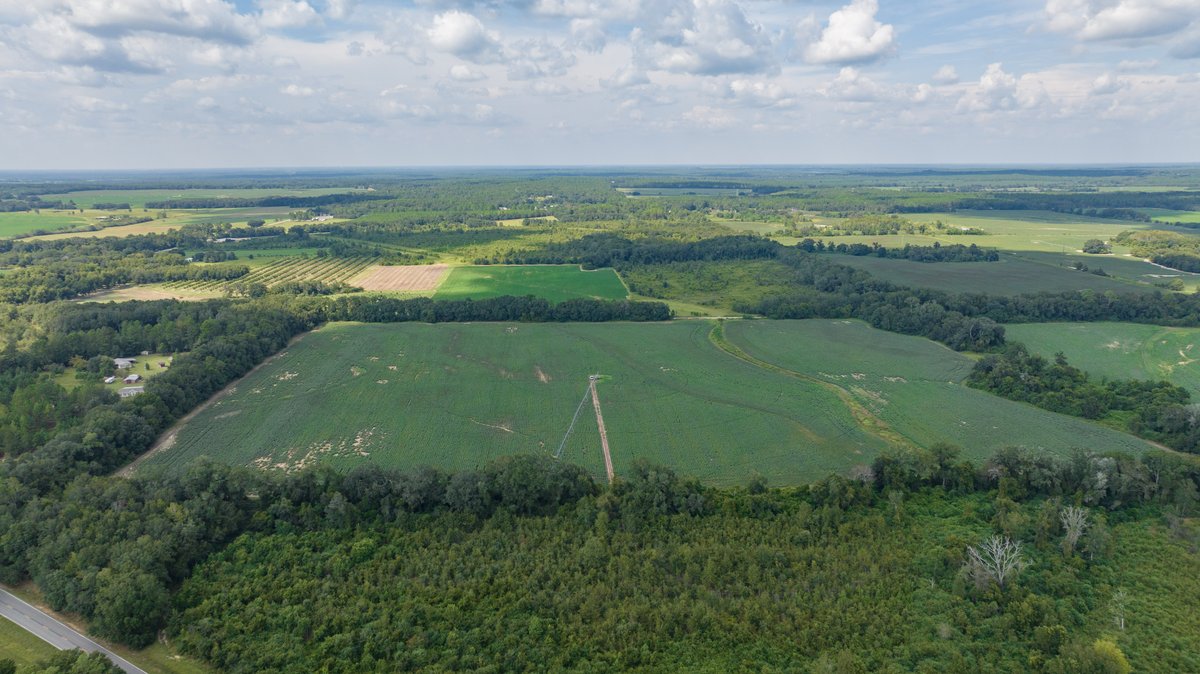Image for 202+/- Total Acres - Prime Irrigated Row Crop Farmland