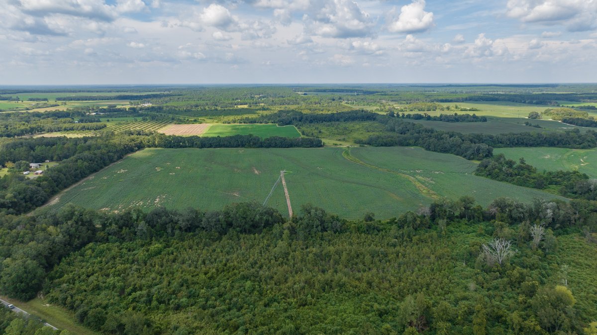 Image for 202+/- Total Acres - Prime Irrigated Row Crop Farmland