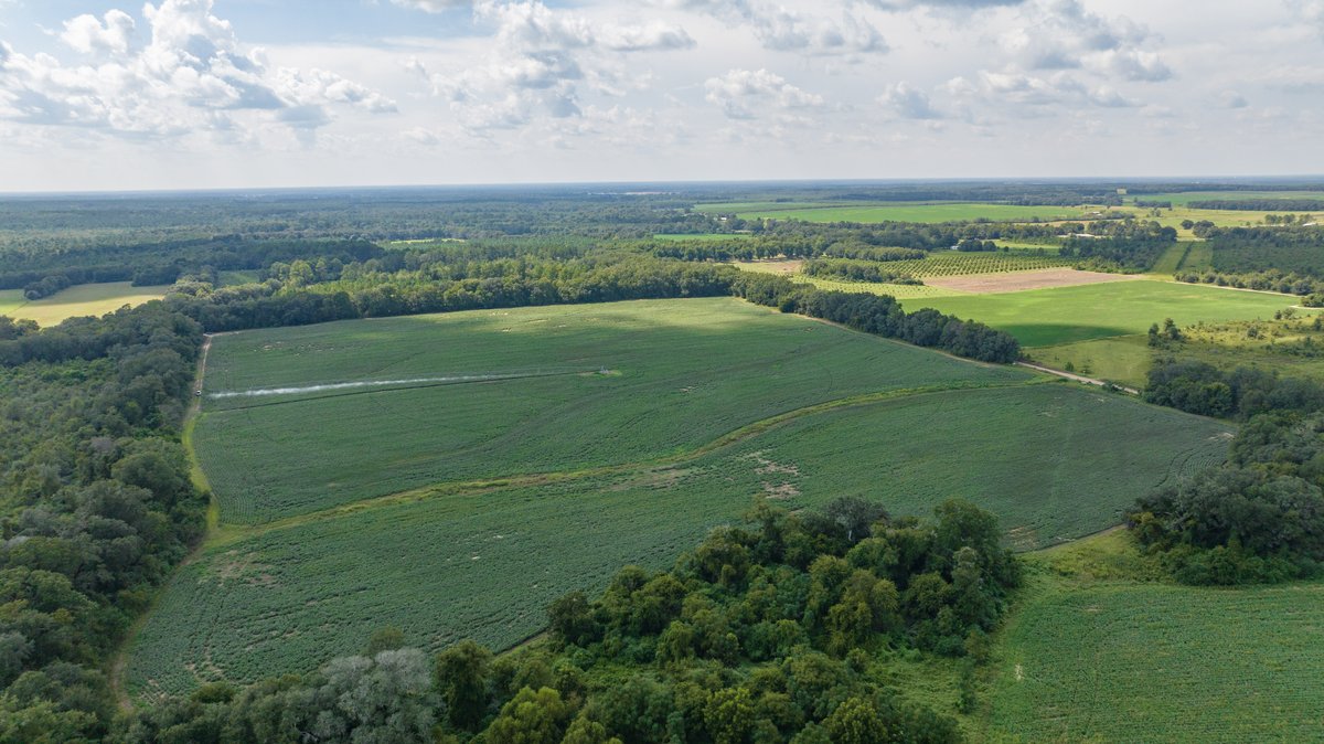Image for 202+/- Total Acres - Prime Irrigated Row Crop Farmland