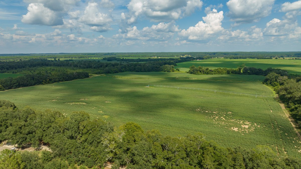 Image for 202+/- Total Acres - Prime Irrigated Row Crop Farmland