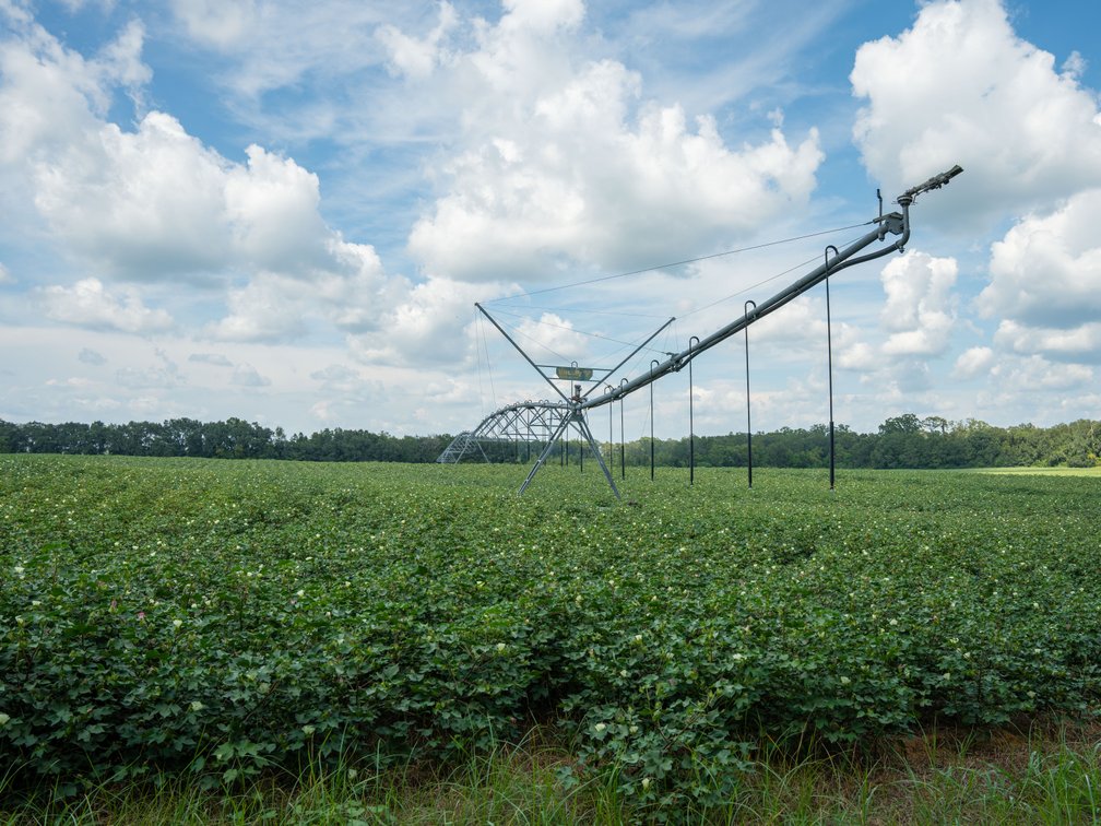Image for 202+/- Total Acres - Prime Irrigated Row Crop Farmland