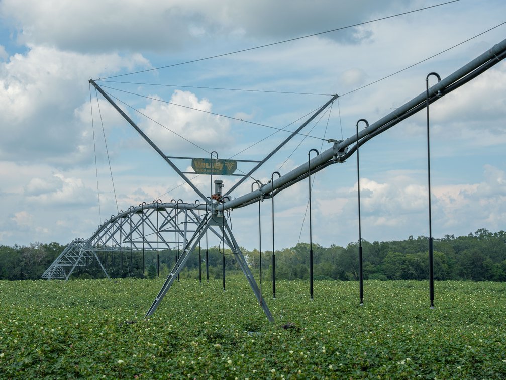Image for 202+/- Total Acres - Prime Irrigated Row Crop Farmland