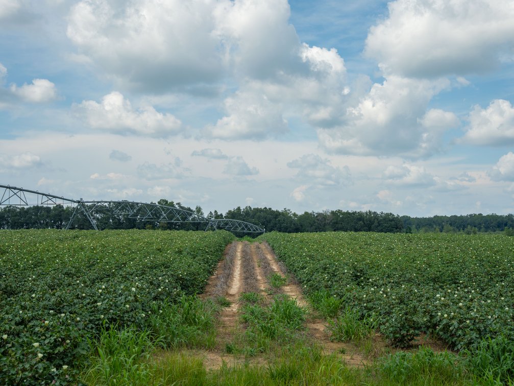 Image for 202+/- Total Acres - Prime Irrigated Row Crop Farmland