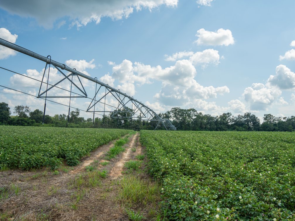 Image for 202+/- Total Acres - Prime Irrigated Row Crop Farmland