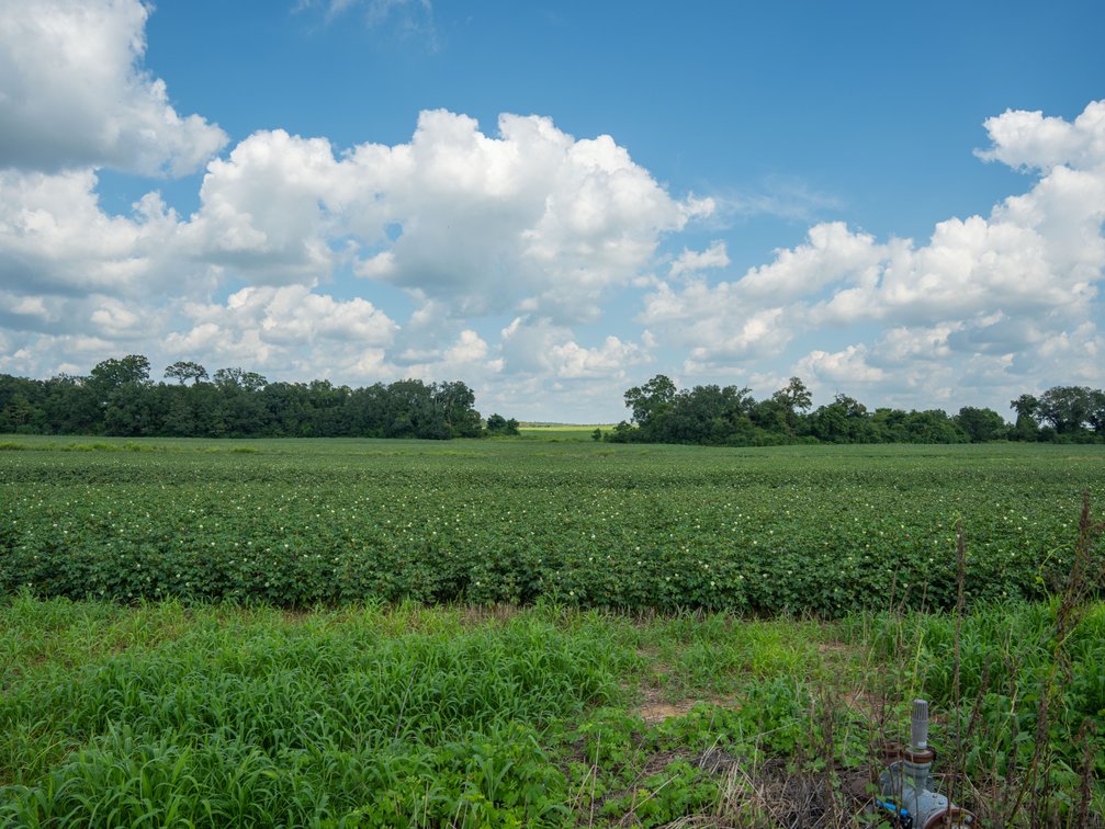 Image for 202+/- Total Acres - Prime Irrigated Row Crop Farmland