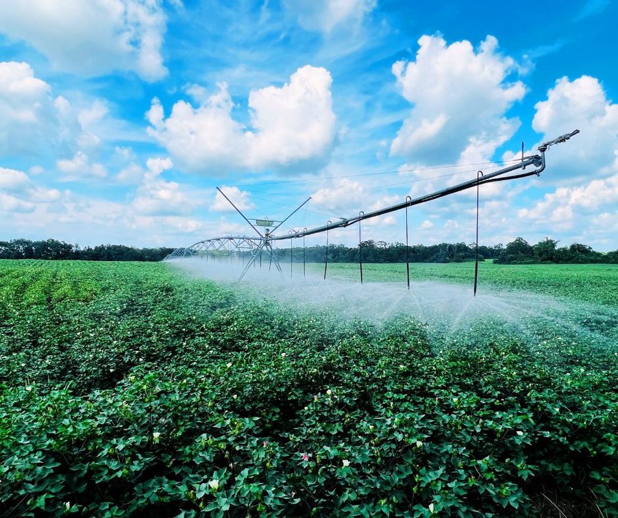 Image for 202+/- Total Acres - Prime Irrigated Row Crop Farmland