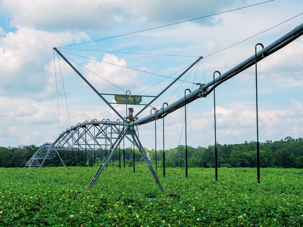 Image for 202+/- Total Acres - Prime Irrigated Row Crop Farmland