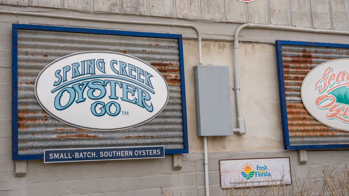 Image for Estuary Oysters - 5 Water Leases, Growing and Processing Equipment, Marina and Cold Storage