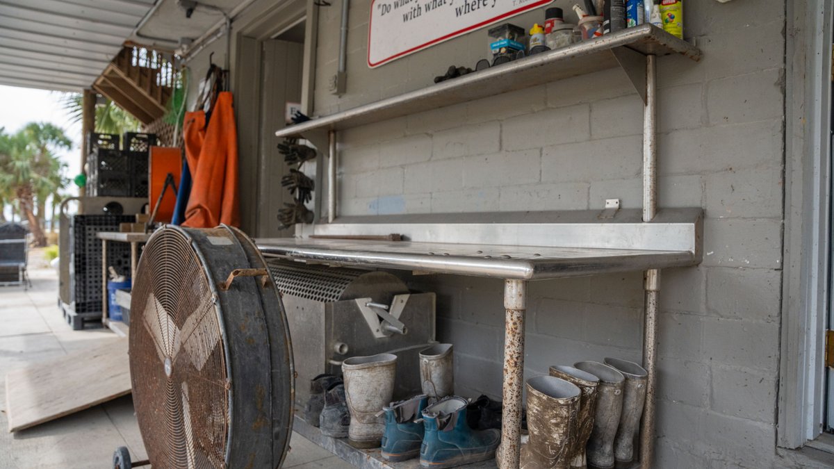 Image for Estuary Oysters - 5 Water Leases, Growing and Processing Equipment, Marina and Cold Storage