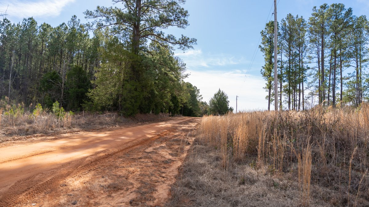 Image for Powell Road 12 +/- Acres