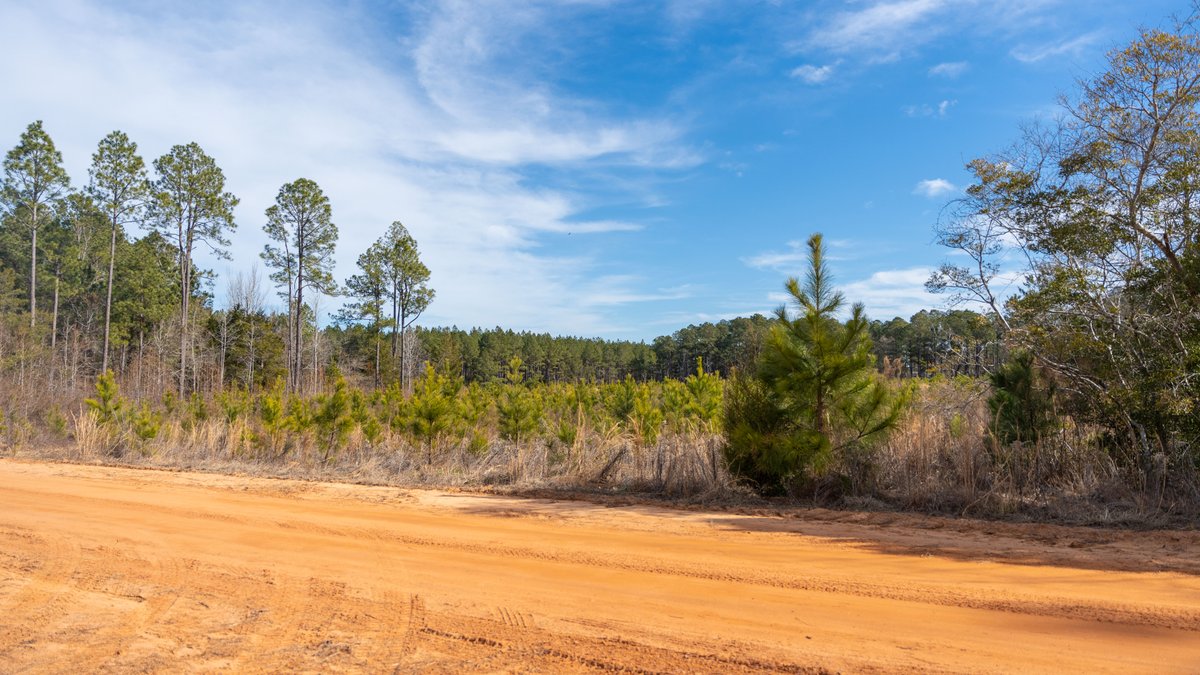 Image for Powell Road 12 +/- Acres