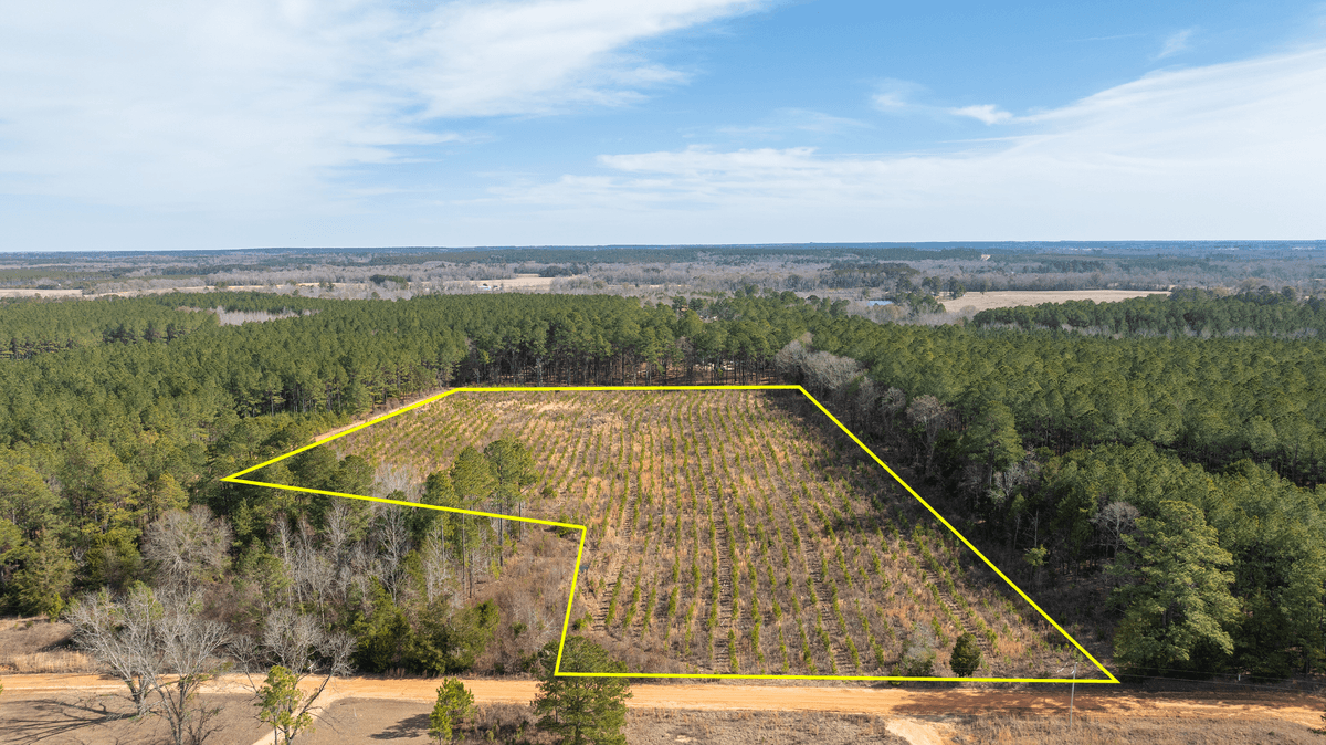 Image for Powell Road 12 +/- Acres