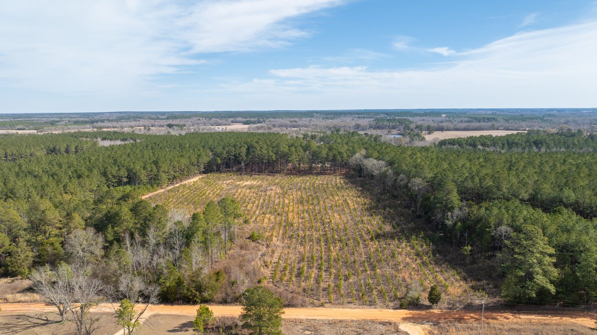 Image for Powell Road 12 +/- Acres