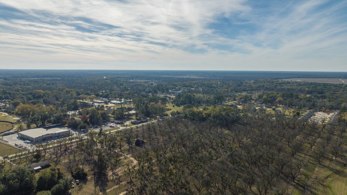 Image for 128+/- Acres - Cecil Tara Pecan Grove w/ Prime Development Potential