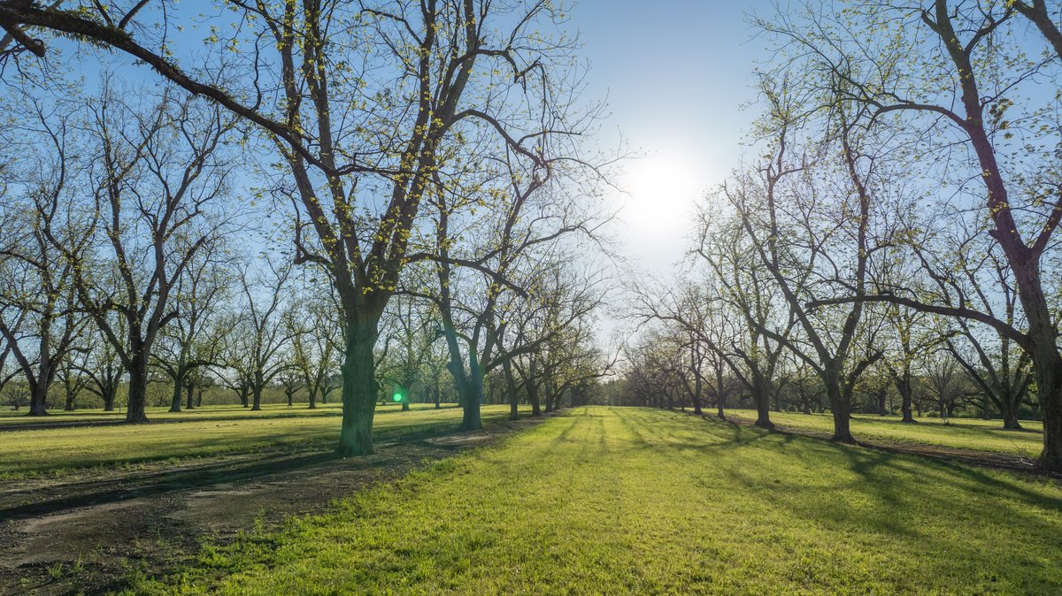 Image for 103+/- Acres - The Hand Tract - Weybrenee Farms