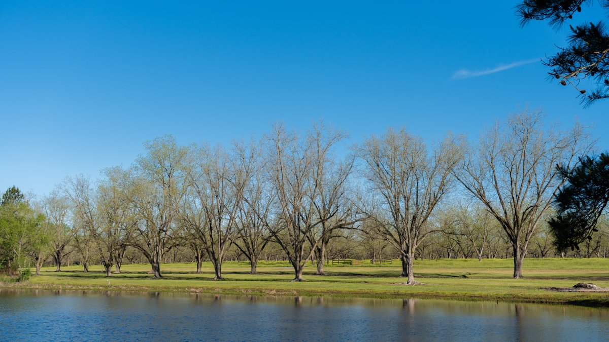 Image for 103+/- Acres - The Hand Tract - Weybrenee Farms
