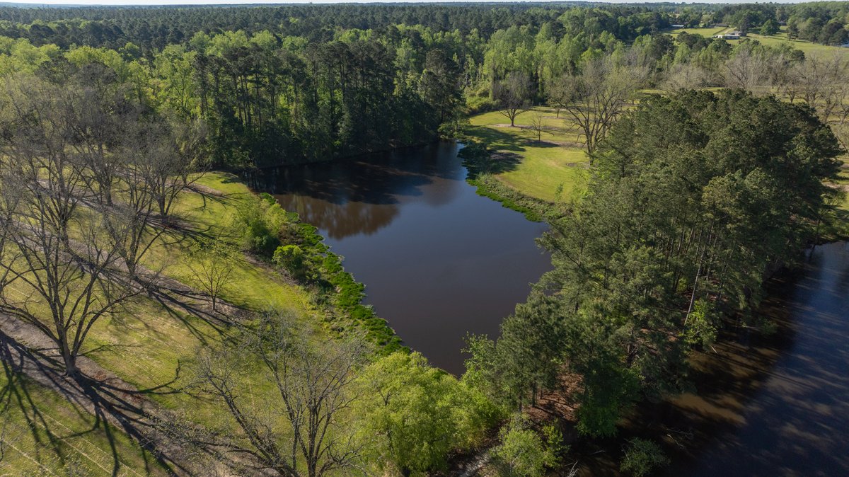 Image for 103+/- Acres - The Hand Tract - Weybrenee Farms