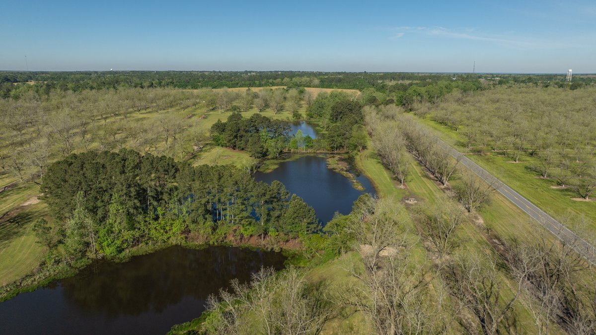 Image for 103+/- Acres - The Hand Tract - Weybrenee Farms
