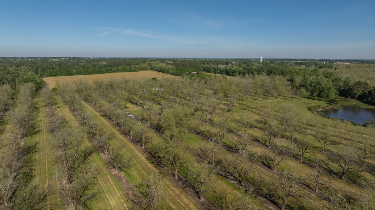Image for 103+/- Acres - The Hand Tract - Weybrenee Farms