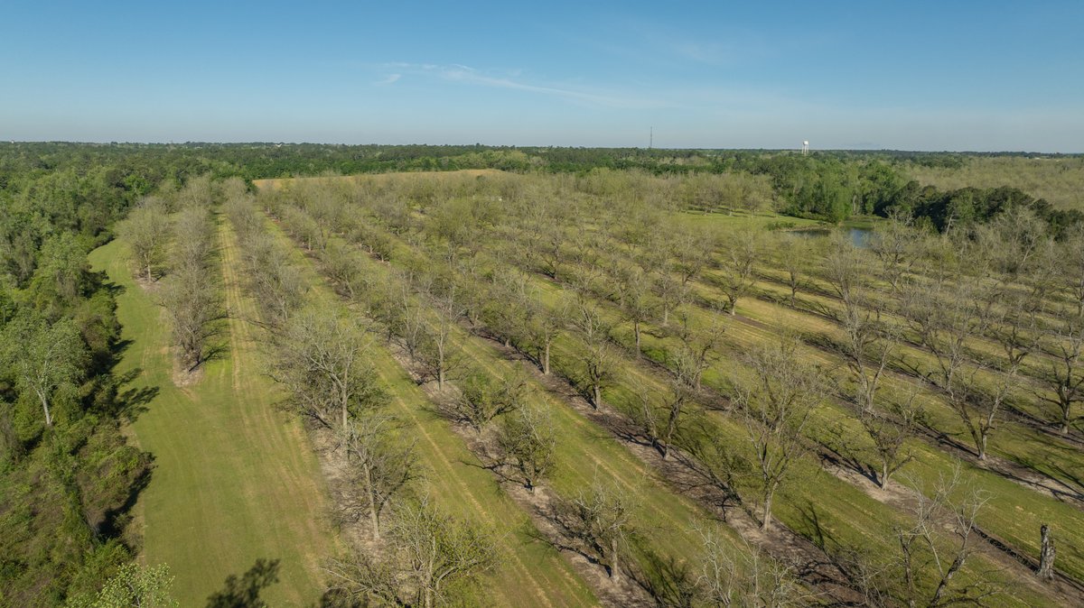 Image for 103+/- Acres - The Hand Tract - Weybrenee Farms