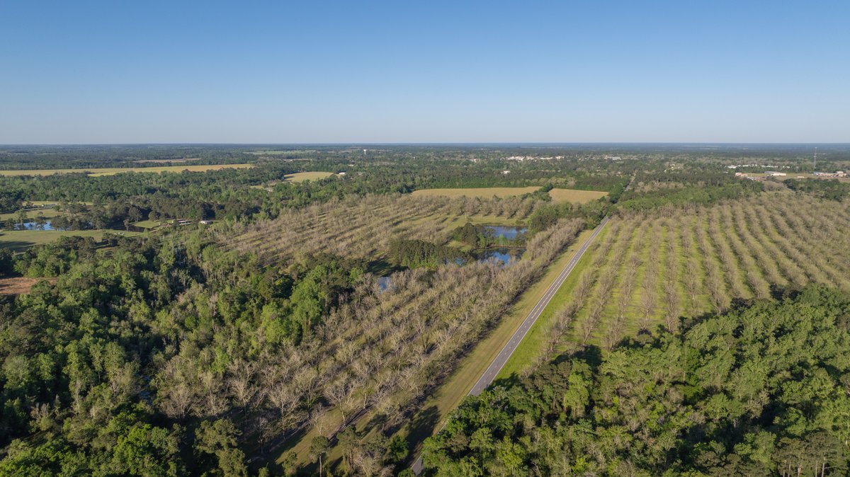 Image for 103+/- Acres - The Hand Tract - Weybrenee Farms