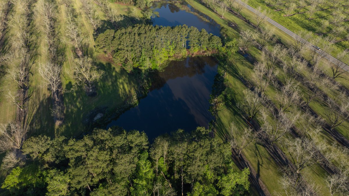Image for 103+/- Acres - The Hand Tract - Weybrenee Farms