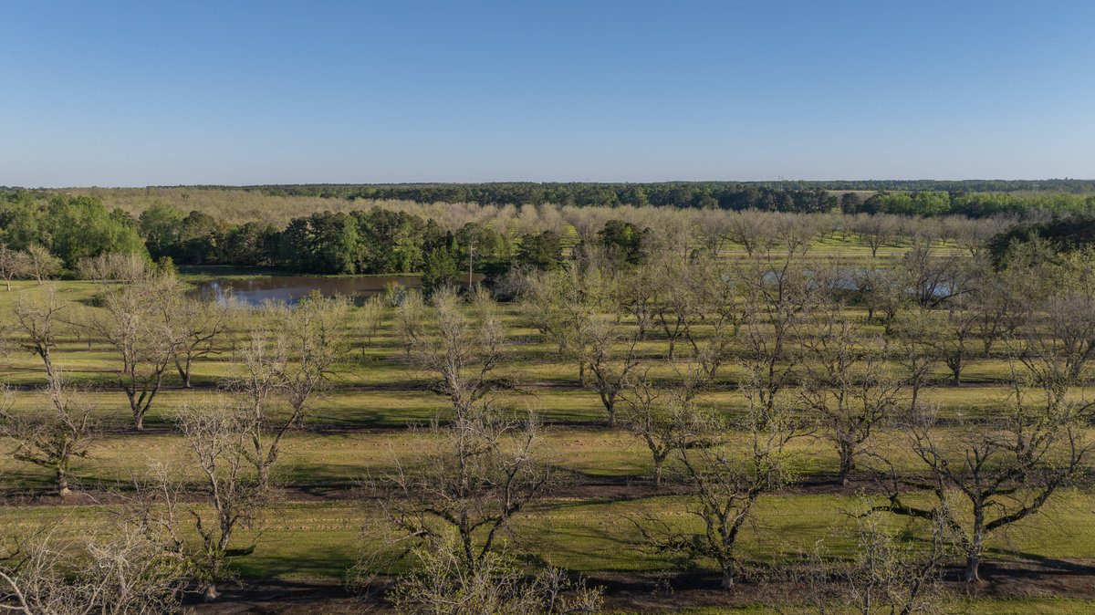 Image for 103+/- Acres - The Hand Tract - Weybrenee Farms