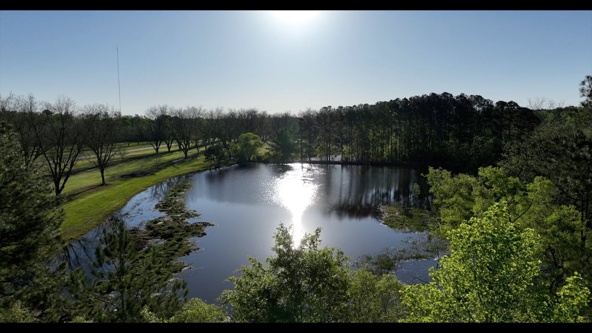 Image for 103+/- Acres - The Hand Tract - Weybrenee Farms