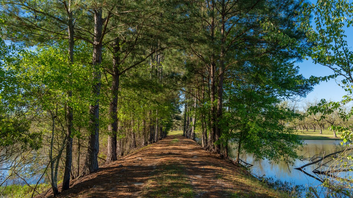 Image for 103+/- Acres - The Hand Tract - Weybrenee Farms