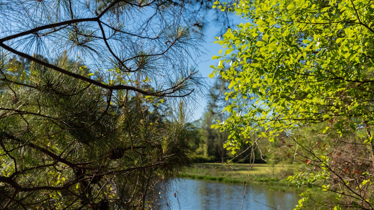 Image for 103+/- Acres - The Hand Tract - Weybrenee Farms