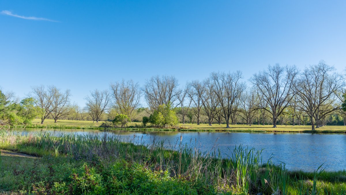 Image for 103+/- Acres - The Hand Tract - Weybrenee Farms