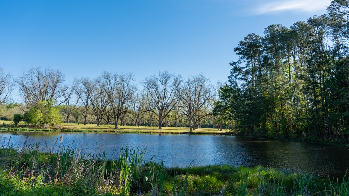 Image for 103+/- Acres - The Hand Tract - Weybrenee Farms