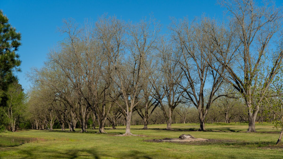 Image for 103+/- Acres - The Hand Tract - Weybrenee Farms