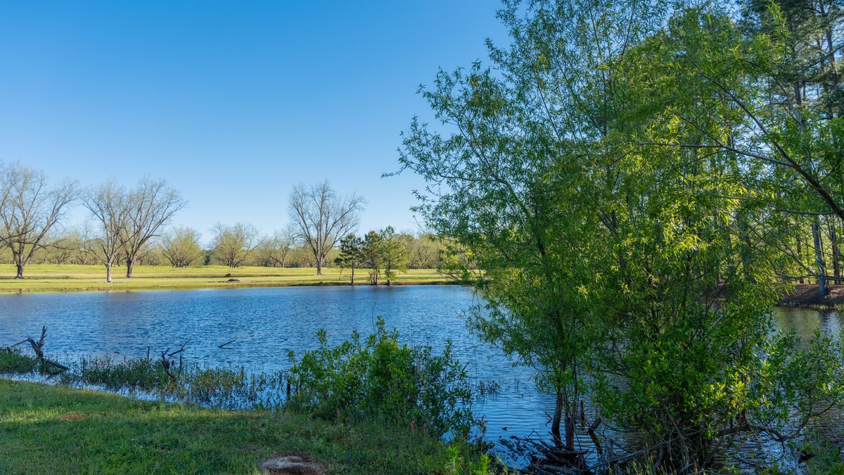 Image for 103+/- Acres - The Hand Tract - Weybrenee Farms