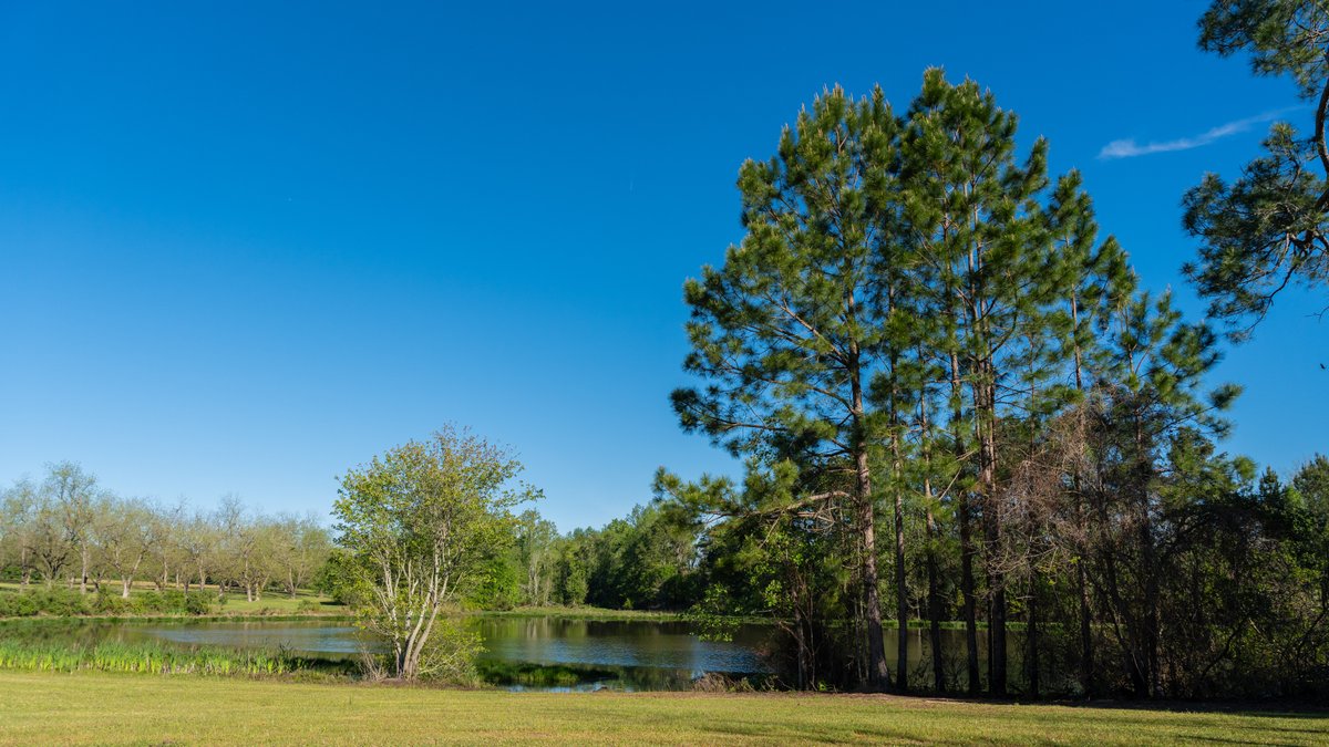 Image for 103+/- Acres - The Hand Tract - Weybrenee Farms