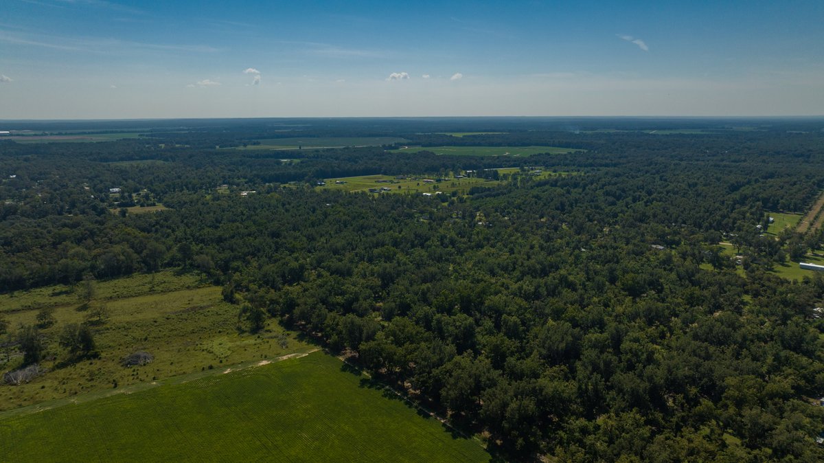 Image for 80.78+/- Acres - Turn-Key Pecan Operation w/ Row Crop Farmland