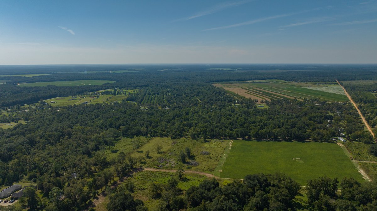 Image for 80.78+/- Acres - Turn-Key Pecan Operation w/ Row Crop Farmland