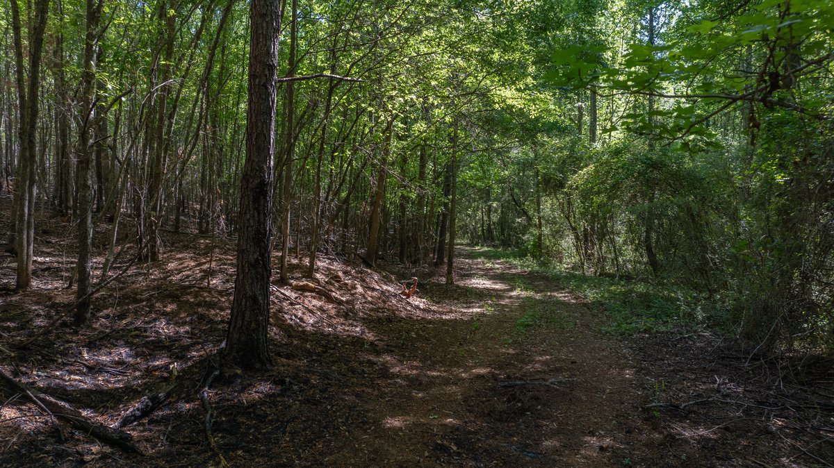 Image for Tobler Creek Place - 107.55 +/- Total Acres - Pristine Recreational Acreage w/ Homesite Potential
