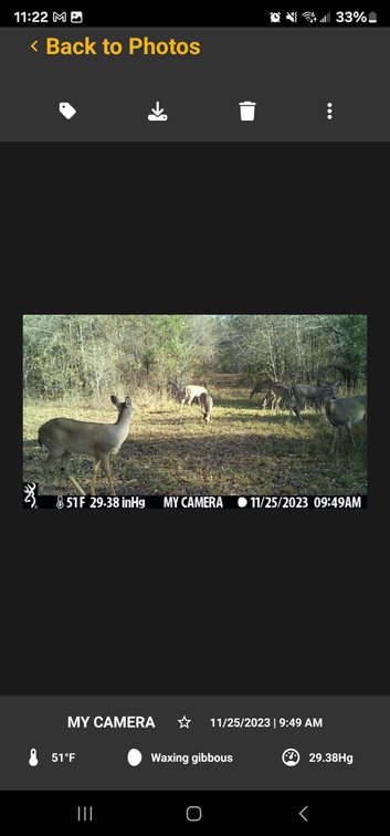 Image for Tobler Creek Place - 107.55 +/- Total Acres - Pristine Recreational Acreage w/ Homesite Potential