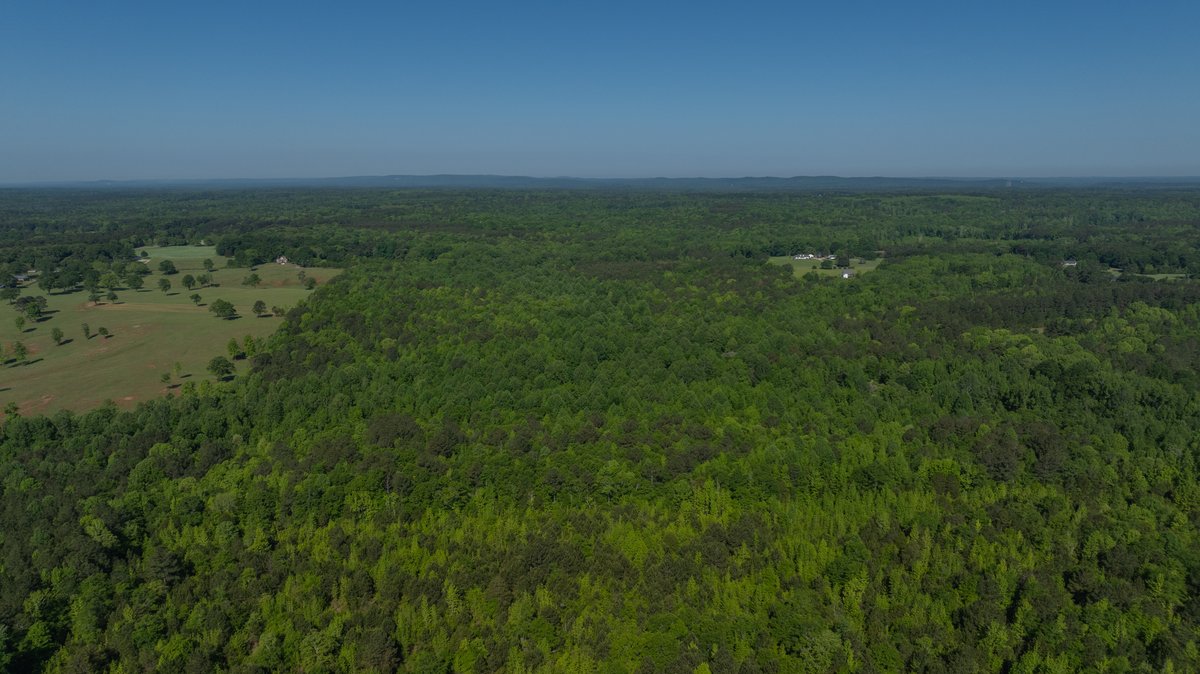 Image for Tobler Creek Place - 107.55 +/- Total Acres - Pristine Recreational Acreage w/ Homesite Potential