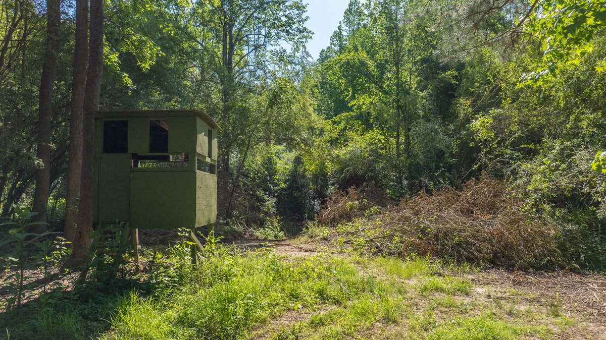 Image for Tobler Creek Place - 107.55 +/- Total Acres - Pristine Recreational Acreage w/ Homesite Potential