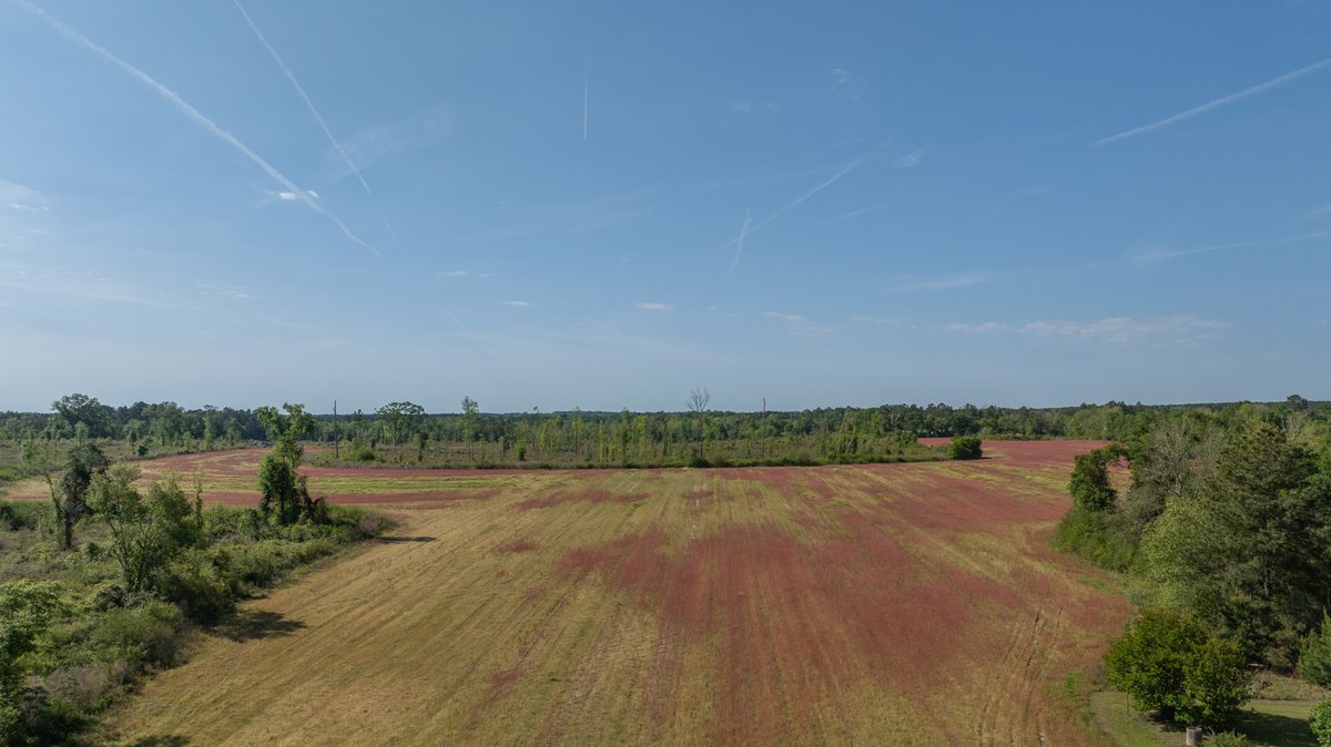 Image for 118+/- Acres - Fowl Hill Farms - Mixed Use Recreational Property w/ Row Crop Farmland