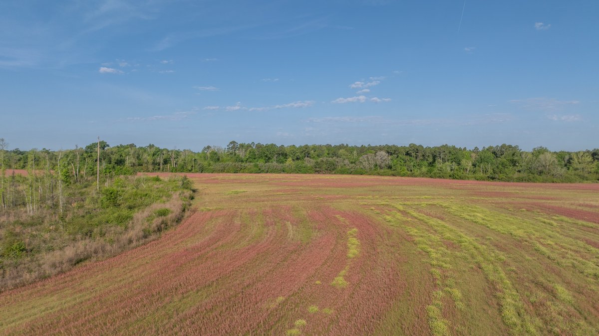 Image for 118+/- Acres - Fowl Hill Farms - Mixed Use Recreational Property w/ Row Crop Farmland