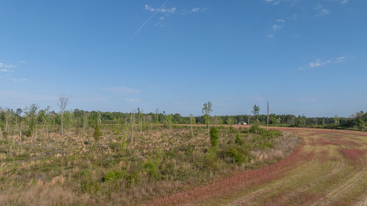 Image for 118+/- Acres - Fowl Hill Farms - Mixed Use Recreational Property w/ Row Crop Farmland
