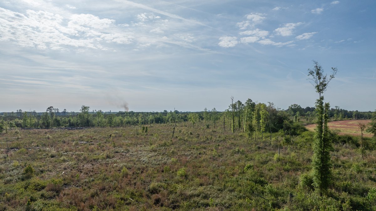 Image for 118+/- Acres - Fowl Hill Farms - Mixed Use Recreational Property w/ Row Crop Farmland
