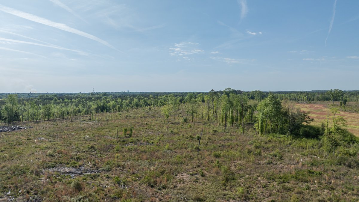 Image for 118+/- Acres - Fowl Hill Farms - Mixed Use Recreational Property w/ Row Crop Farmland