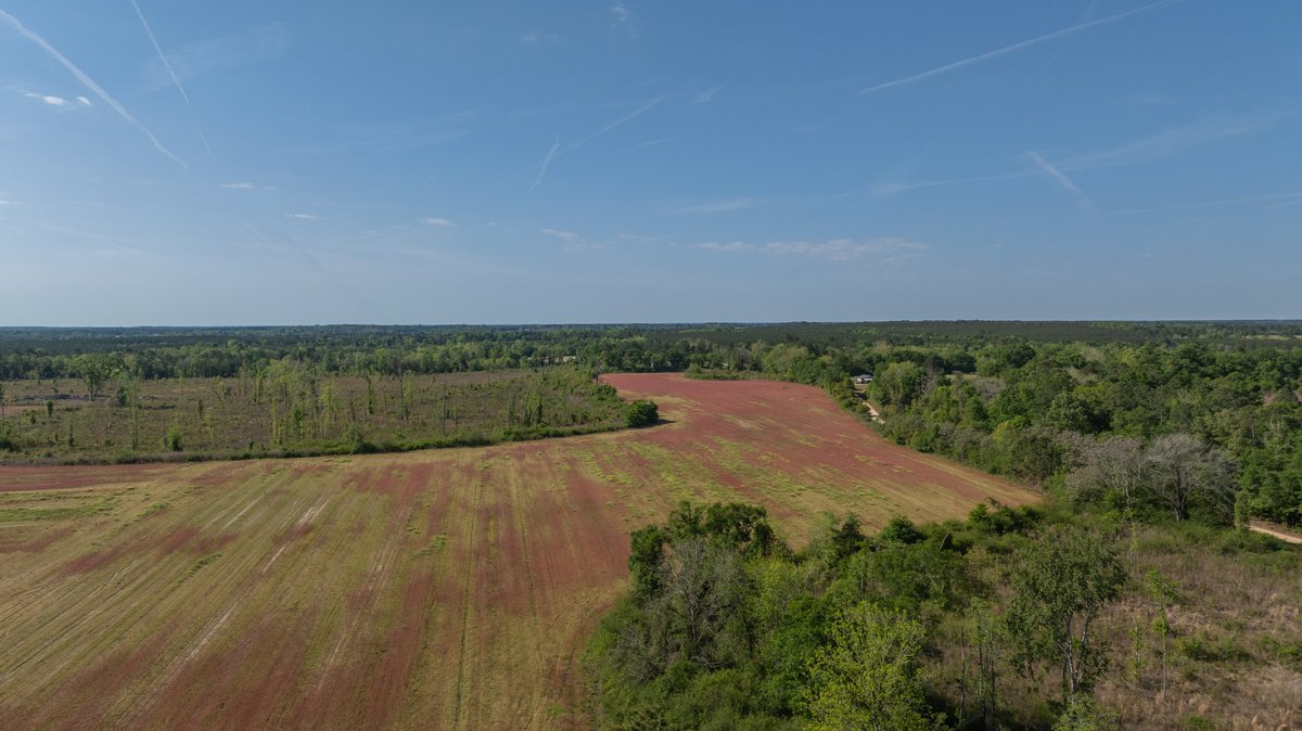 Image for 118+/- Acres - Fowl Hill Farms - Mixed Use Recreational Property w/ Row Crop Farmland