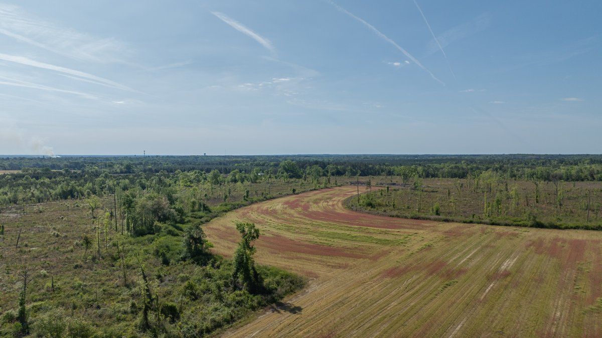 Image for 118+/- Acres - Fowl Hill Farms - Mixed Use Recreational Property w/ Row Crop Farmland