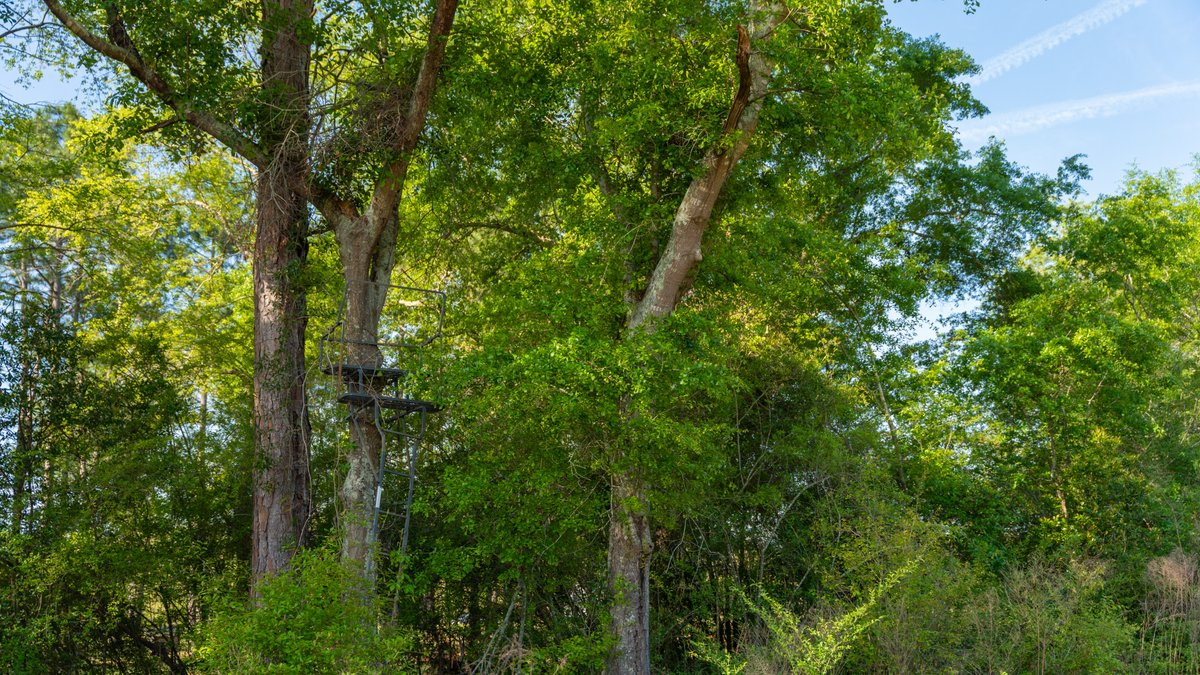 Image for 118+/- Acres - Fowl Hill Farms - Mixed Use Recreational Property w/ Row Crop Farmland